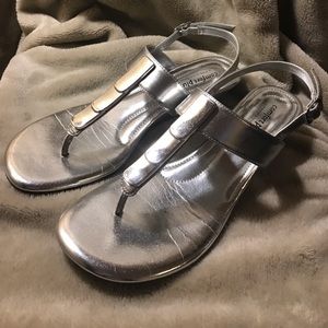 Silver Wedges